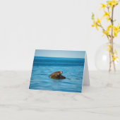 Atlantic Harbor Seal Karte (Gelbe Blume)