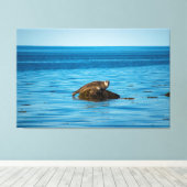 Atlantic Harbor Seal Leinwanddruck (Insitu (Holzboden))