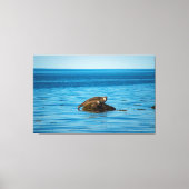 Atlantic Harbor Seal Leinwanddruck (Vorderseite)