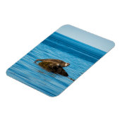Atlantic Harbor Seal Magnet (Linke Seite)