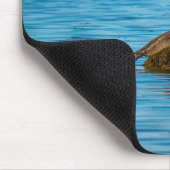 Atlantic Harbor Seal Mousepad (Ecke)