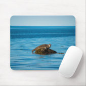 Atlantic Harbor Seal Mousepad (Mit Mouse)