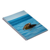 Atlantic Harbor Seal Notizblock (Rechte Seite)