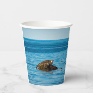 Atlantic Harbor Seal Pappbecher