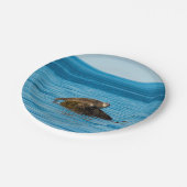 Atlantic Harbor Seal Pappteller (Schrägansicht)