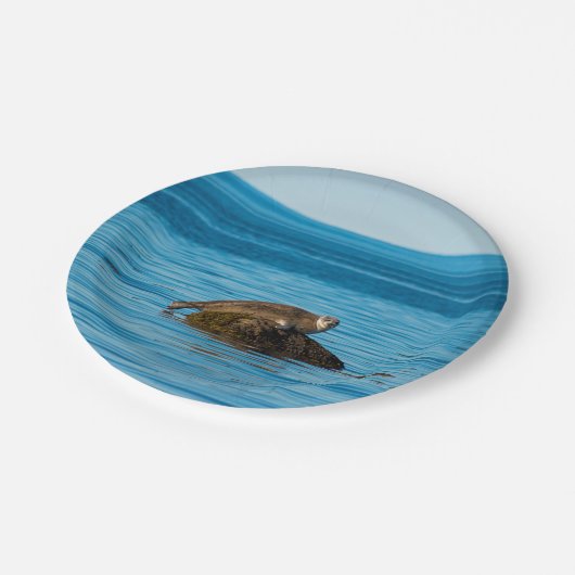 Atlantic Harbor Seal Pappteller (Schrägansicht)