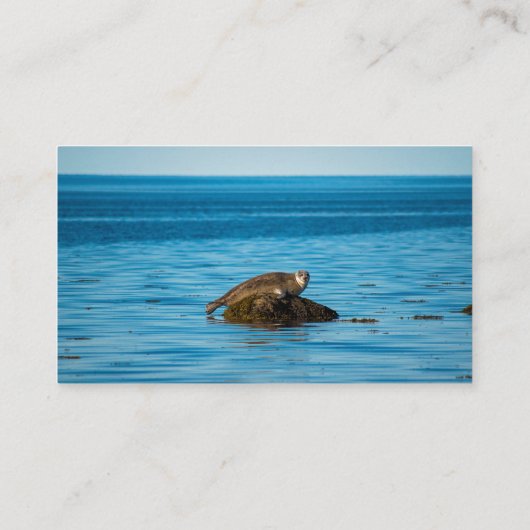Atlantic Harbor Seal Platzkarte (Rückseite)