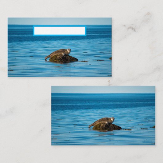 Atlantic Harbor Seal Platzkarte (Vorne/Hinten)