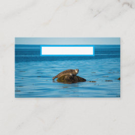 Atlantic Harbor Seal Platzkarte