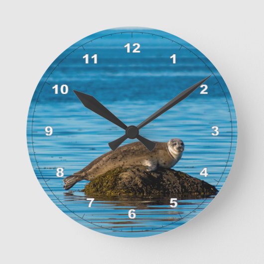 Atlantic Harbor Seal Runde Wanduhr (Vorderseite)