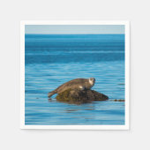 Atlantic Harbor Seal Serviette (Vorderseite)