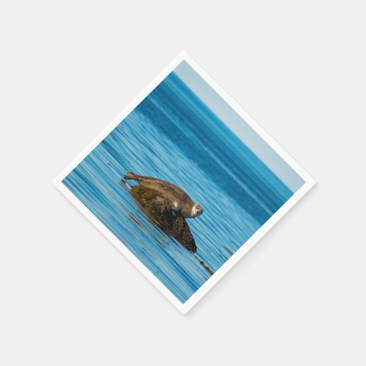 Atlantic Harbor Seal Serviette (Ecke)