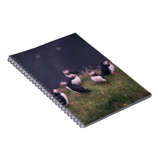 Atlantic Puffers Notebook Notizblock (Rechte Seite)
