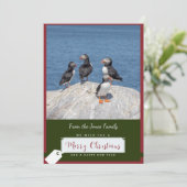 Atlantic Puffin Christmas Card Feiertagskarte (Stehend Vorderseite)