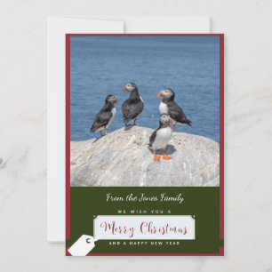 Atlantic Puffin Christmas Card Feiertagskarte