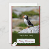 Atlantic Puffin Christmas Card Feiertagskarte (Vorne/Hinten)