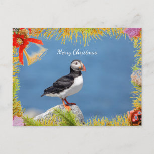 Atlantic Puffin Christmas Card Feiertagspostkarte