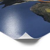 Atlantic Puffin Fotodruck (Ecke)