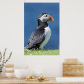 Atlantic Puffin (Fratercula Arctica) auf der Klipp Poster (Küche)