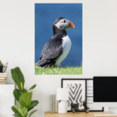 Atlantic Puffin (Fratercula Arctica) auf der Klipp Poster (Heimbüro)