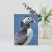 Atlantic Puffin (Fratercula Arctica) auf der Klipp Postkarte (Stehend Vorderseite)