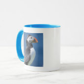 Atlantic Puffin (Fratercula Arctica) auf der Klipp Tasse (Vorderseite Links)