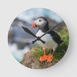 Atlantic Puffin Fratercula Arctica Runde Wanduhr