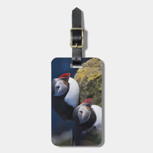 Atlantic Puffin Gepäckanhänger (Vorderseite vertikal)