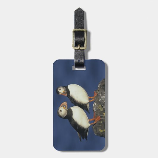 Atlantic Puffin Gepäckanhänger (Vorderseite vertikal)