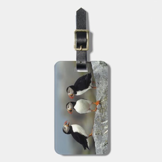 Atlantic Puffin Group Gepäckanhänger (Vorderseite vertikal)