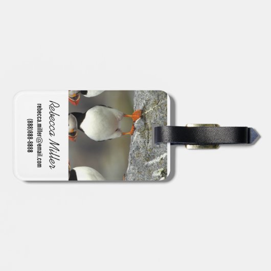 Atlantic Puffin Group Gepäckanhänger (Rückseite horizontal)