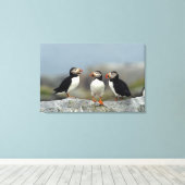 Atlantic Puffin Group Leinwanddruck (Insitu (Holzboden))