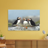 Atlantic Puffin Group Leinwanddruck (Insitu (Wohnzimmer))