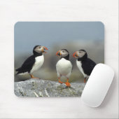 Atlantic Puffin Group Mousepad (Mit Mouse)