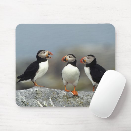 Atlantic Puffin Group Mousepad (Mit Mouse)