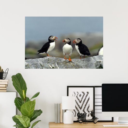 Atlantic Puffin Group Poster (Heimbüro)