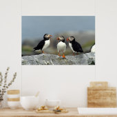 Atlantic Puffin Group Poster (Küche)