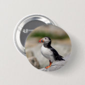 Atlantic Puffin in Machias, Maine Button (Vorne & Hinten)