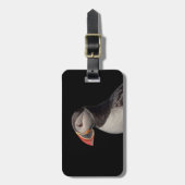 Atlantic Puffin in Machias, Maine Gepäckanhänger (Vorderseite vertikal)