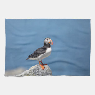 Atlantic Puffin in Machias, Maine Geschirrtuch