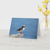 Atlantic Puffin in Machias, Maine Karte (Gelbe Blume)