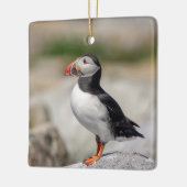 Atlantic Puffin in Machias, Maine Keramikornament (Links)