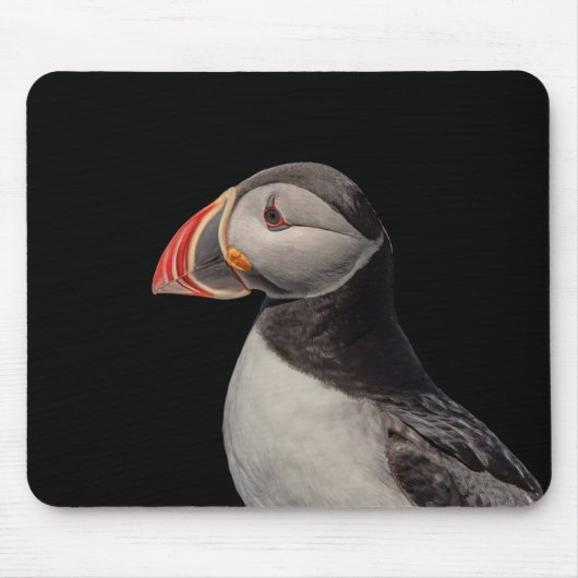 Atlantic Puffin in Machias, Maine Mousepad (Vorne)