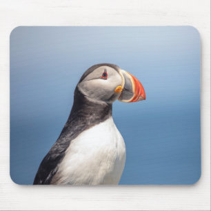 Atlantic Puffin in Machias, Maine Mousepad