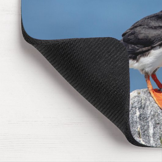 Atlantic Puffin in Machias, Maine Mousepad (Ecke)