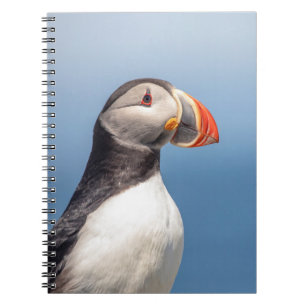 Atlantic Puffin in Machias, Maine Notizblock