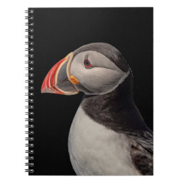 Atlantic Puffin in Machias, Maine Notizblock