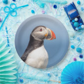 Atlantic Puffin in Machias, Maine Pappteller (Party)