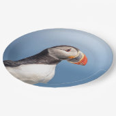 Atlantic Puffin in Machias, Maine Pappteller (Schrägansicht)
