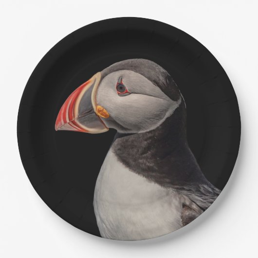 Atlantic Puffin in Machias, Maine Pappteller (Vorderseite)